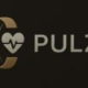PULZ