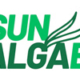 Sun Algae