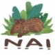 N.A.I