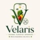 Velaris